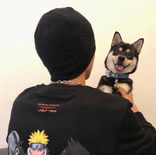 6686体育官网高级作者Zane