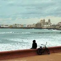 6686体育官网铜牌作者暖意序言