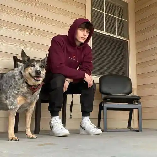 6686体育官网钻石作者Gale