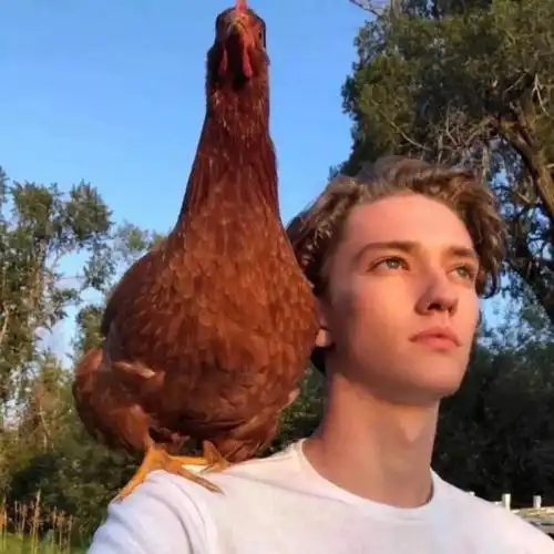 6686体育官网海外作者Benjamin