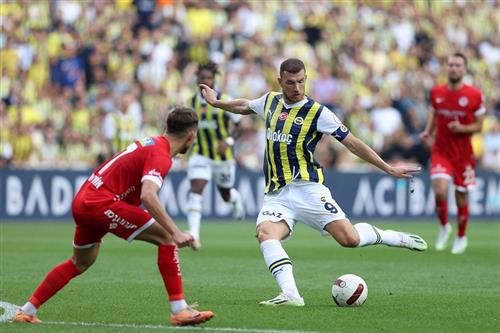 北西兰 vs 费内巴切