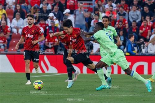 马洛卡 vs 赫塔菲