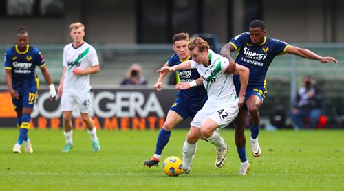 维罗纳 vs 萨索洛