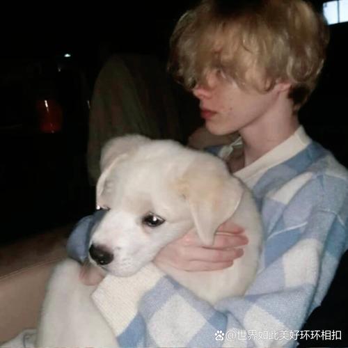 6686体育铁牌作者Alice